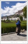 _MG_3296 e