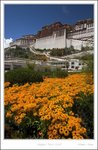 _MG_3307 e