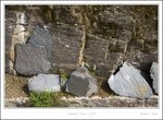 _MG_3366 e