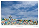 Qinghai Lake 青海湖
_MG_2321 e