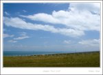 _MG_2327 e