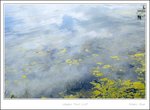_MG_2341 e