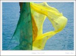 _MG_2364 e