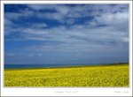 _MG_2386 e