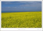_MG_2388 e