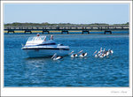 _MG_0560 ec
