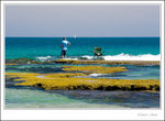_MG_0579 e