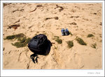 left my stuff on the beach and walked into the water
_MG_0582 e