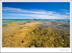 _MG_0590 e