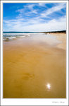 _MG_0607 e