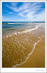 _MG_0621 e