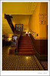 _MG_0654 e
