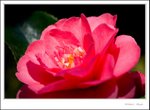 _MG_9324 ec