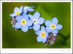 _MG_9331 ec