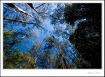 _MG_9336 e