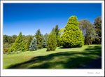 _MG_9368 e