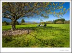 _MG_9371 e