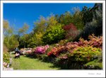 _MG_9383 e