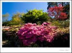 _MG_9387 ec