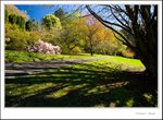 _MG_9400 e