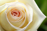 IMG_1218_1027