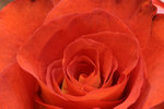 IMG_1747044