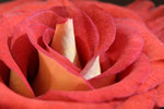 IMG_1846051