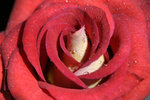 IMG_1860052