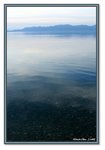 Frame_IMG_7078 eweb