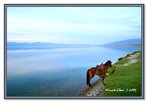 Frame_IMG_7097 eweb