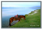 Frame_IMG_7099 eweb