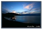 Frame_IMG_7119 eweb