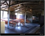 IMG_0182