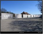 IMG_0200