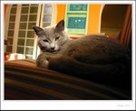 Coca  IMG_0029