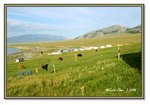 Frame_IMG_7060 eweb