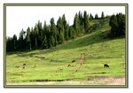 Frame_IMG_7069 eweb