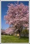 _MG_0703 e