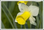 _MG_0716 e