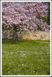 _MG_0718 e