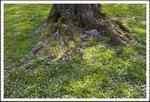 _MG_0728 e