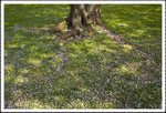 _MG_0742 e