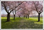 _MG_0744 e