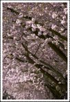 _MG_0758 e