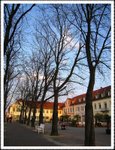 IMG_0295