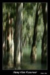 Frame__MG_4601 e