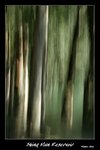 Frame__MG_4602 e