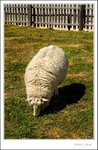 _MG_9609 e
