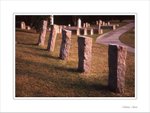 Frame_scan 734