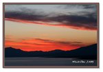 Frame_IMG_7134 eweb